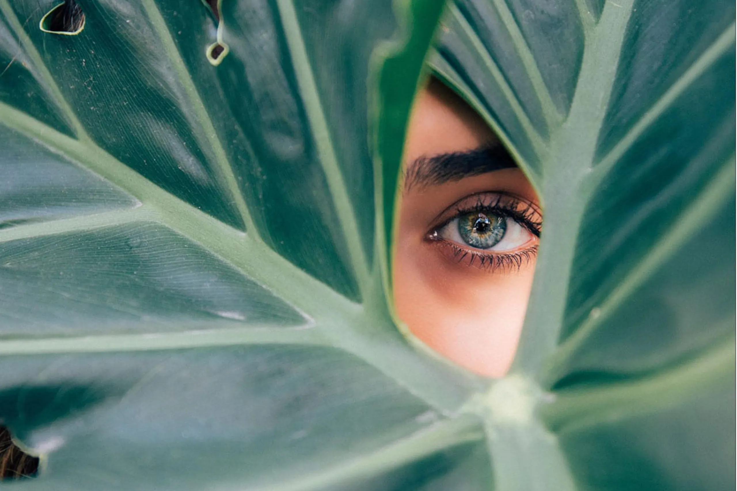 Beauty Infusion